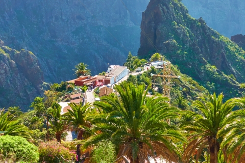 De Santa Cruz de Tenerife: voyage privé Masca & Garachico