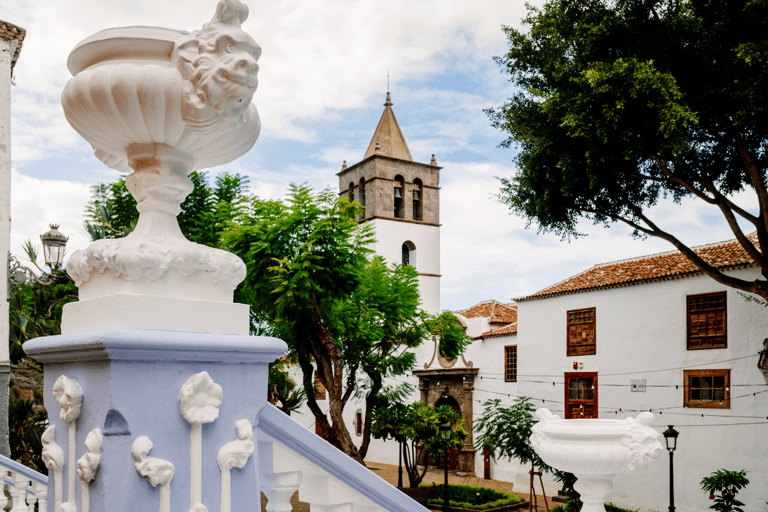 Från Santa Cruz de Tenerife: Masca och Garachico privat resa