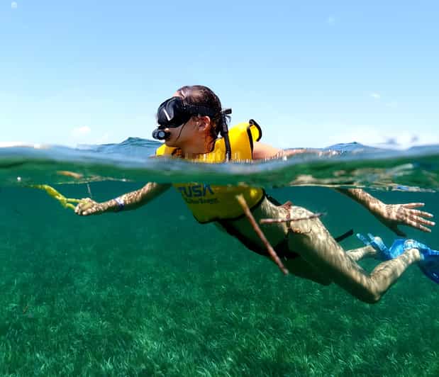 Cancun Snorkeling Tour for NonSwimmers GetYourGuide