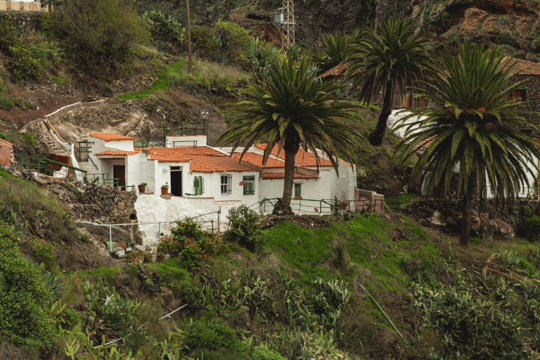 From Santa Cruz de Tenerife: Masca & Garachico Private Trip