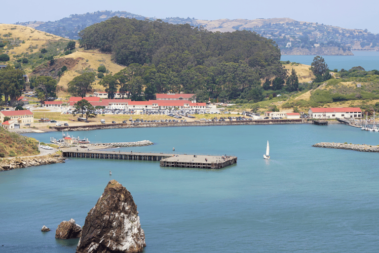 Desde San Francisco: tour de secuoyas Muir WoodsTour en grupo por la mañana