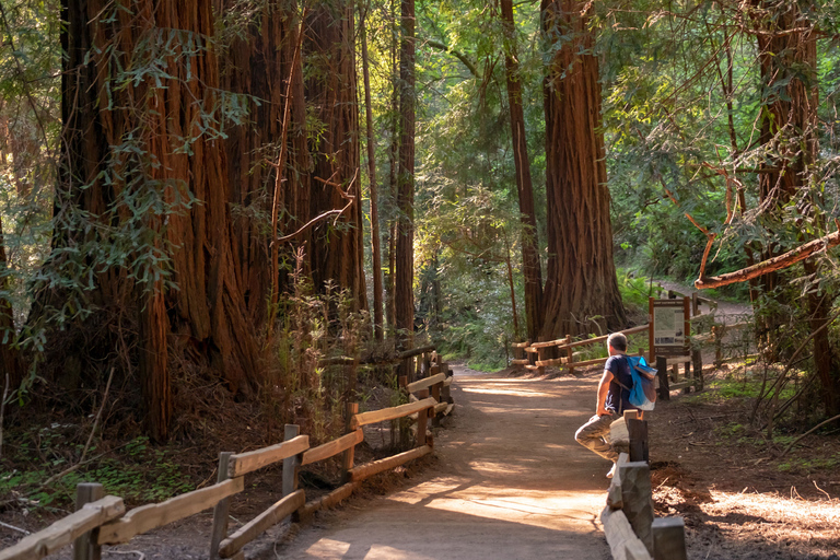 Desde San Francisco: tour de secuoyas Muir WoodsTour en grupo por la mañana