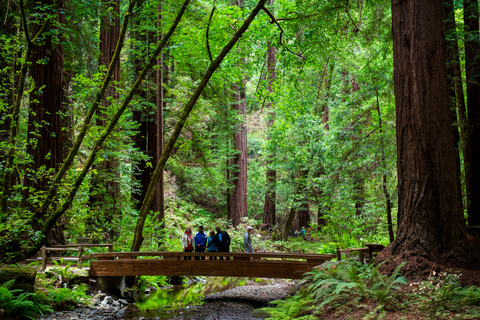 Desde San Francisco: tour de secuoyas Muir WoodsTour en grupo por la mañana