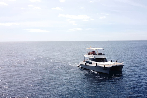 Puerto del Carmen: passeio de catamarã com esportes aquáticosCatamarã particular de 8 horas