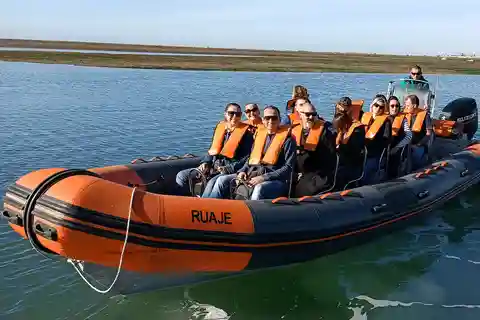 Depuis Faro : Observation des dauphins et de la faune