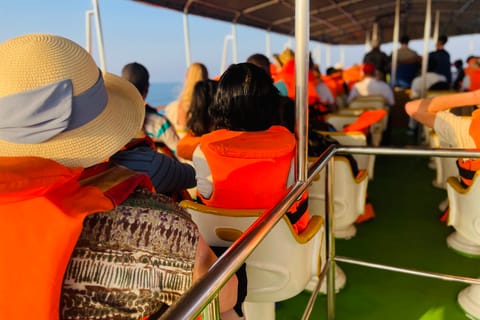 From Colombo: Whale Watching Tour with Breakfast & Transfers