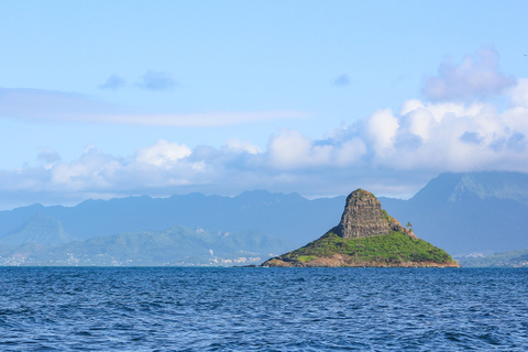 From Waikiki: Oahu Day Trip With Lunch and Snorkeling