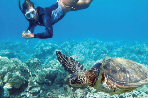 Desde Waikiki: tour de esnórquel en Circle IslandDesde Waikiki: excursión de un día a Oahu con almuerzo y esnórquel