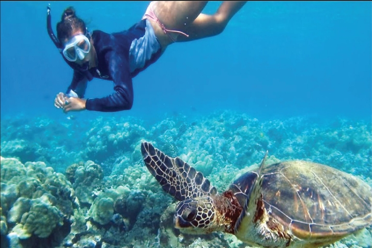 Z Waikiki: wycieczka do snorkelingu Circle IslandZ Waikiki: jednodniowa wycieczka do Oahu z lunchem i nurkowaniem