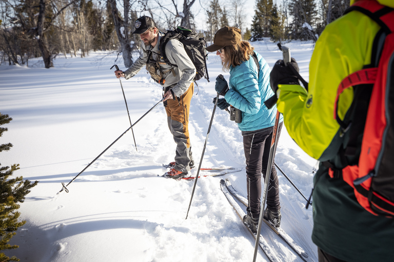 Grand Teton National Park: 4-Hour Beginner Cross-Country Ski Private Tour for 1-5 People