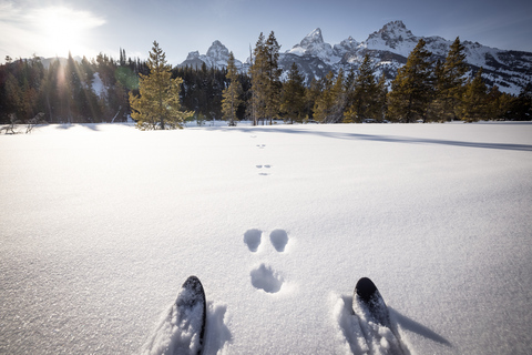 Grand Teton National Park: 4-Hour Beginner Cross-Country Ski Private Tour for 1-5 People