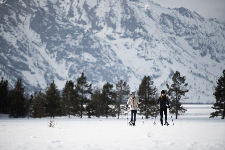 Grand Teton National Park: 4-Hour Easy Snowshoeing Tour Private Tour up to 5 Guests