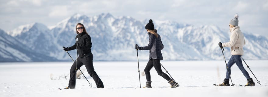 Parc national de Grand Teton : excursion de 8 heures en raquettes et découverte de la faune