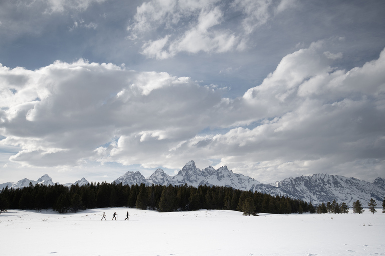 Grand Teton National Park: 8-Hour Willdlife & Snowshoe Tour Private Tour for 6-7 People