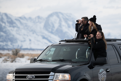 Grand Teton National Park: 8-Hour Willdlife & Snowshoe Tour Private Tour for 6-7 People