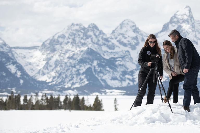 Grand Teton National Park: 8-Hour Willdlife & Snowshoe Tour Private Tour for 6-7 People