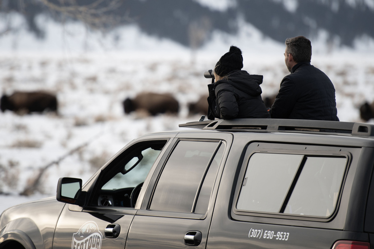 Grand Teton National Park: 8-Hour Willdlife & Snowshoe Tour Private Tour for 6-7 People
