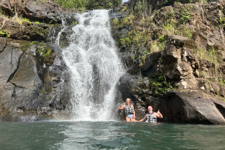 From Waikiki: Manoa Falls Hike and Oahu Tour