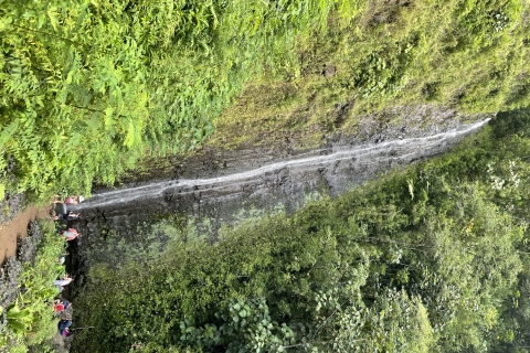 Depuis Waikiki : Randonnée des chutes de Manoa et visite d'Oahu