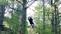 Waitomo Caves 1-Kilometer-Long Zipline Tour - Hizvo