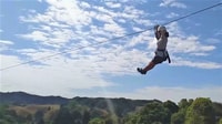 Waitomo Caves 1-Kilometer-Long Zipline Tour - Hizvo