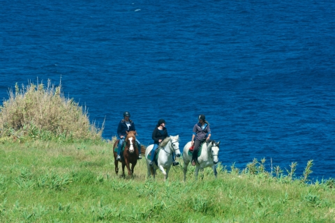 Faial Island: paardrijden op Lusitano Trail