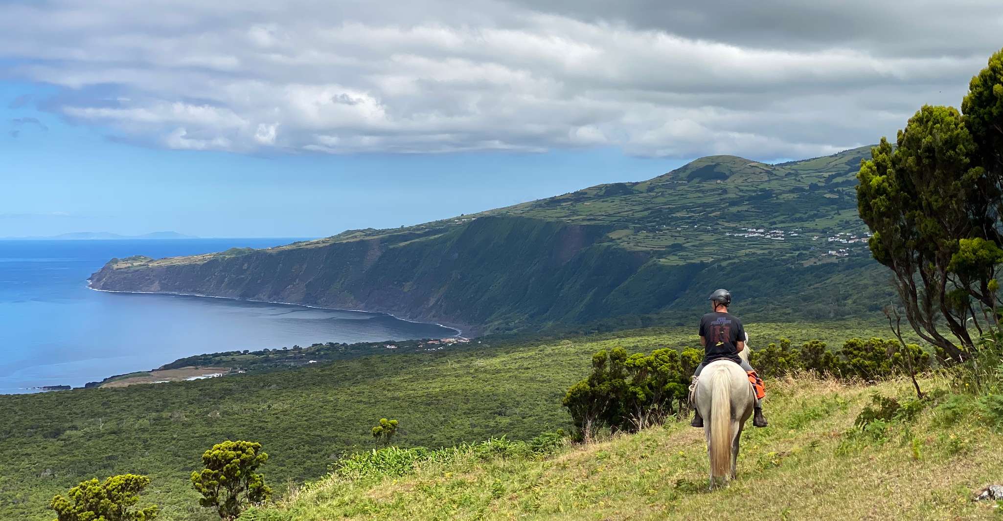 Faial Island, cavallo a cavallo su Lusitano Trail (1,5 ore) - Housity