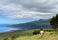 Faial Island, chevaux sur Lusitano Trail (1,5 h) - Housity