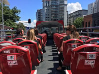 Auckland, Hop-On Hop-Off Explorer Bus Ticket - Housity