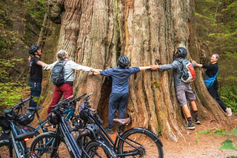 Vancouver: Recorrido en Bicicleta por Stanley Park