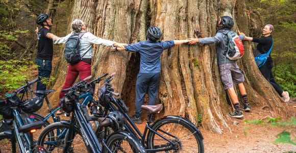 Vancouver: Stanley Park Bicycle Tour