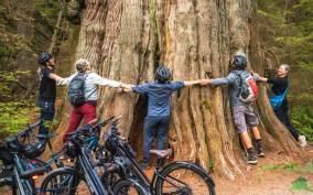 Vancouver: Stanley Park Bicycle Tour