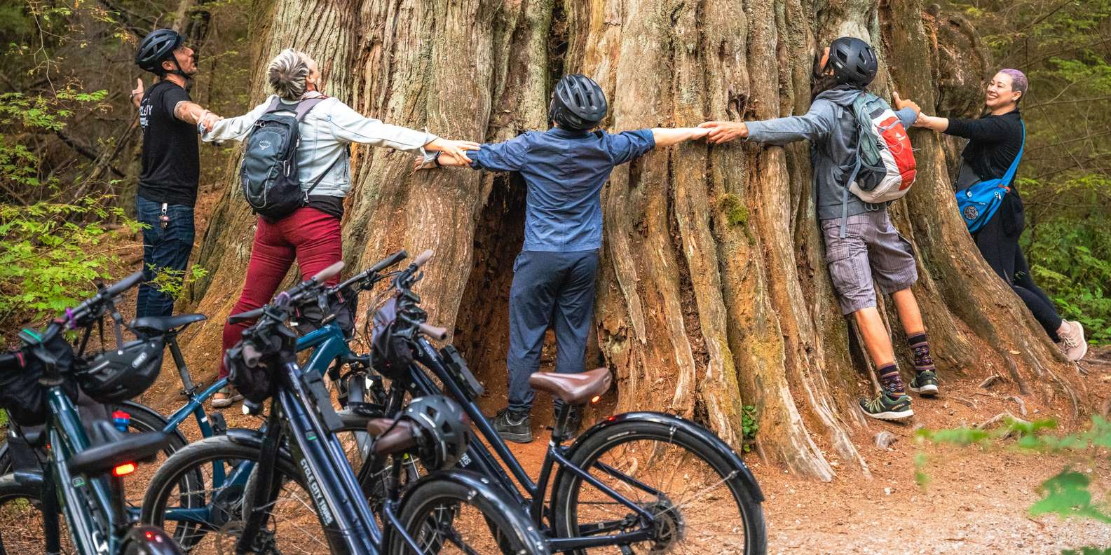 Vancouver: Stanley Park Bicycle Tour GetYourGuide