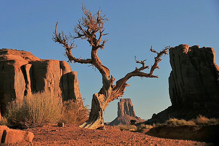 Monument Valley: Scenic 1.5-Hour Tour