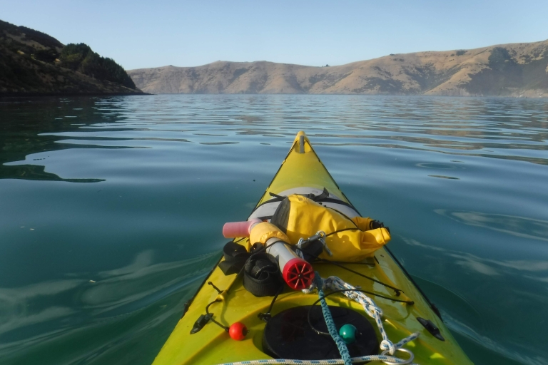Akaroa: Safari guiado en kayak por el mar al amanecer de 3 horas