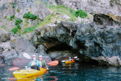 Akaroa: Wycieczka kajakiem po morzu do rezerwatu morskiego AkaroaAkaroa: Kajakarstwo morskie w rezerwacie morskim Akaroa