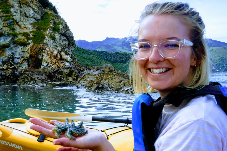 Akaroa: Wycieczka kajakiem po morzu do rezerwatu morskiego AkaroaAkaroa: Kajakarstwo morskie w rezerwacie morskim Akaroa