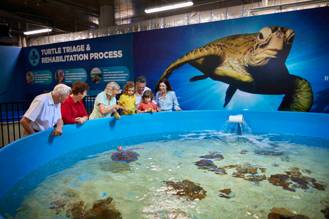 Cairns: visite de l'aquarium et visite de la ville avec déjeuner