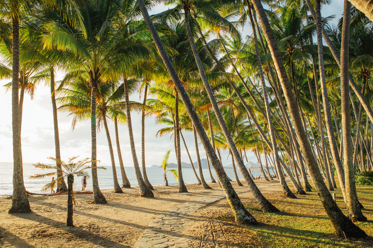 Cairns: Half-Day City Sightseeing Tour Tour Starting from Palm Cove and Trinity Beach