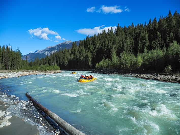 Golden Bc Rafting Golden, BC: Kicking Horse River Half Day Whitewater Rafting | GetYourGuide