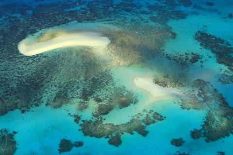 Cairns: 40 minuten durende rondvlucht naar het Great Barrier Reef