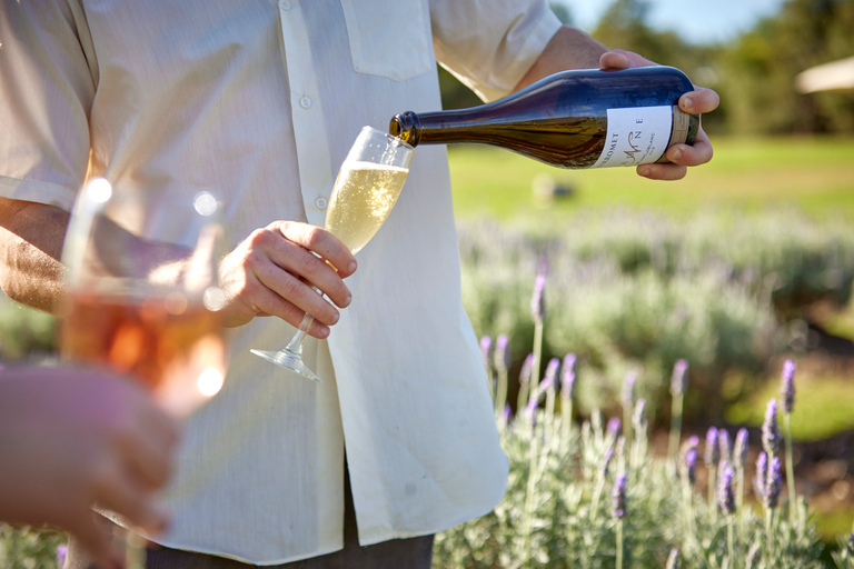 Mount Cotton: piquenique no paddock com degustação de vinhos para dois