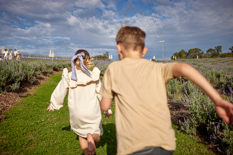 Mount Cotton: Paddock Picnic with Wine Tasting for Two