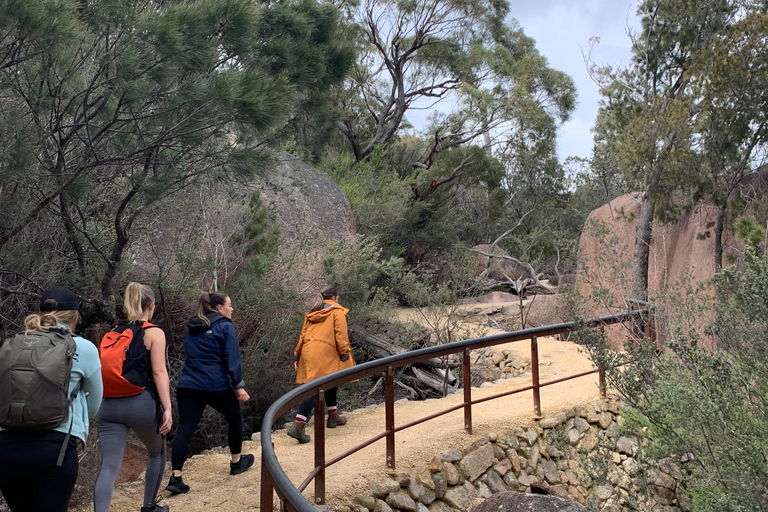 Hobart : Wineglass Bay & Freycinet Active Day TourDe Hobart: excursion active d'une journée à Wineglass Bay