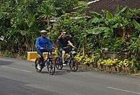 Sanur Village & Turtle Sanctuary E-Bike Tour - Housity
