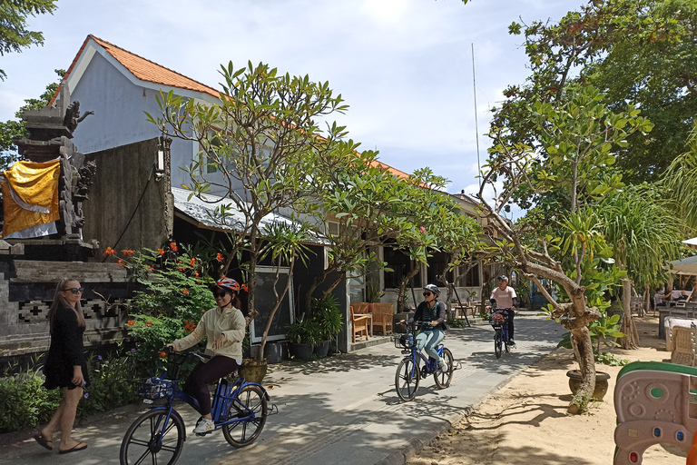 Sanur village Ebike tour