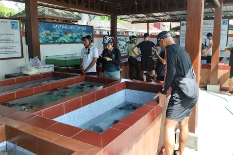 Sanur Village E-bike Tour: Family-Friendly Adventure