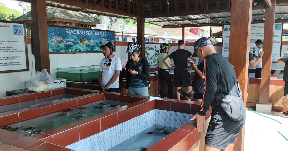 Excursi N En Bicicleta El Ctrica Por El Pueblo De Sanur Con Visita Al