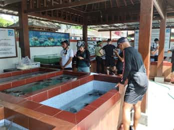 Tour in e-bike del villaggio di Sanur: Avventura per famiglie