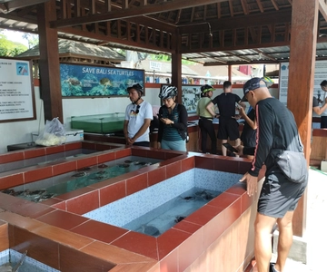 Sanur Village E-bike Tour: Family-Friendly Adventure